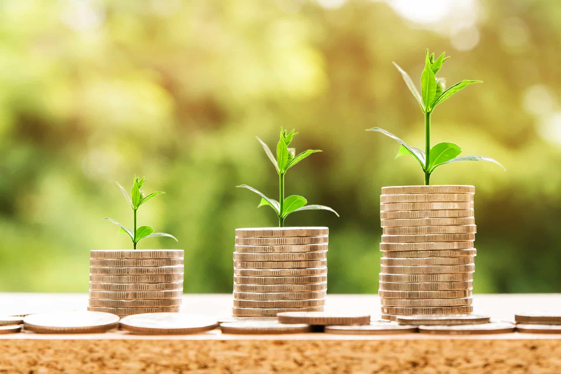 Learn More About Steps in the Loan Process