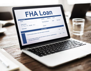 Government Loans - Federal Housing Administration Loans